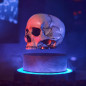 Floating Skull