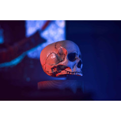 Floating Skull