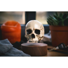 Floating Skull