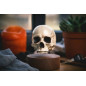 Floating Skull