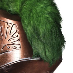 Iron Companion Helm Helmet - D2