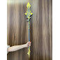 Vortex Vanquisher - Genshin Impact