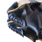 Ghost - Starlight Shell - D2