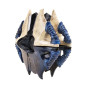 Ghost - Starlight Shell - D2